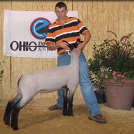 Sloan Club Lambs