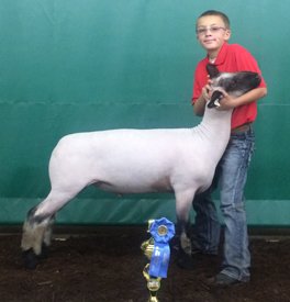 wayne county winner