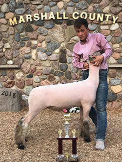 Sloan Winners