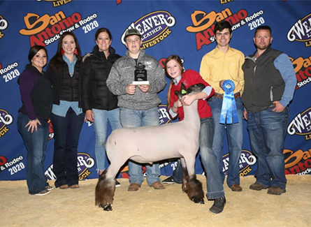 Sloan Club Lambs Winners