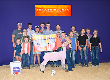 Sloan Club Lambs Winners