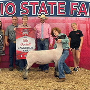 Sloan CLub Lambs Winners