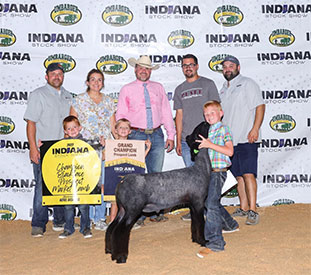 Sloan CLub Lambs Winners