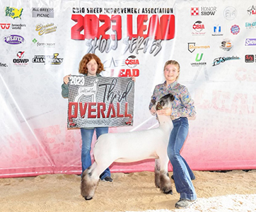 Third Overall Commercial Ewe Show 2
Scarlet and Gray Jackpot